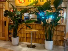 -日出拉面(望京店)