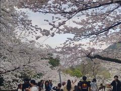 -杭州少年儿童公园
