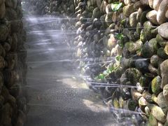 -加林娜泥浴水疗
