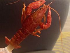 -雅逸居海鲜小厨