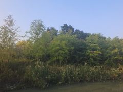 -澹台湖公园