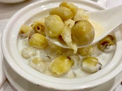 清炖莲子-金满楼(天河中路店)