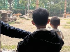 -上海野生动物园老虎餐厅