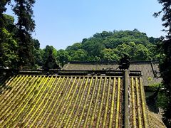 -凤栖山