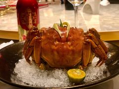 -人间采蜜(海信广场店)