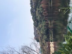 -重庆彩云湖湿地公园