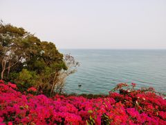-涠洲岛火山国家地质公园