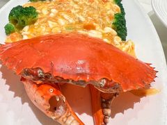 -蝶园·装修中(BFC外滩金融中心店)