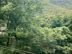 -WILDS 野有食(碧坞店)