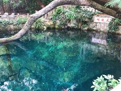 -蝴蝶泉公园