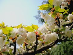 -白塘生态植物园