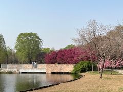 -石家庄市植物园