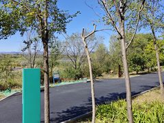 -绿堤公园