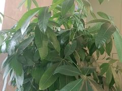 -德克士(蔚县永昌店)