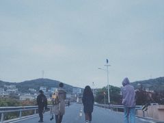 -枸杞岛