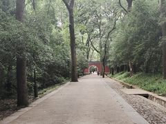 -灵谷景区
