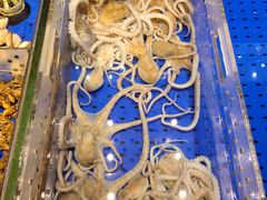 -高佳庄·舟山海鲜(海景旗舰店)