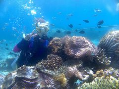 -盛捷游泳·潜水·高尔夫培训(凯德广场店)