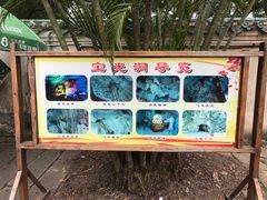 -星湖旅游景区七星岩