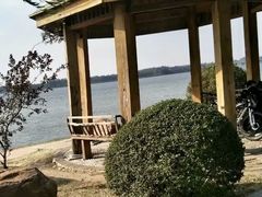 -丁香湖公园