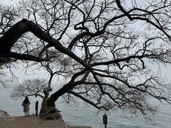 -抚仙湖禄充风景区