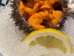 -红叶日料·放题·海胆·定食(星海店)