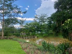 -中国科学院西双版纳热带植物园