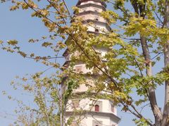 -开元寺塔