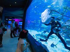 -烟台海昌鲸鲨海洋公园