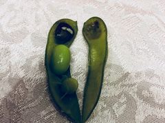 -阿斯牛牛十二餐厅•四季餐厅(民族大道店)