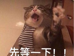 -联合动物医院(光谷诊疗中心)