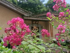 -清水湖度假村(罗浮山美食地标店)