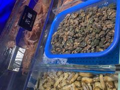 -加餐海鲜自助(宝龙一城店)