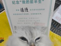 -安安宠医安欣宠物医院