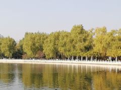 -莲花池公园