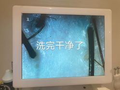 -蓝调造型
