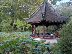-上海醉白池公园