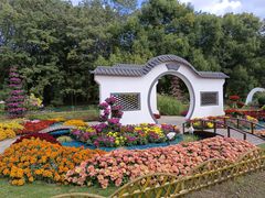 -上海共青森林公园