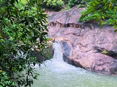 -广州白江湖森林公园