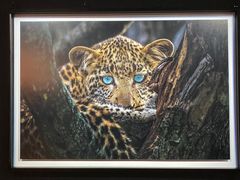 -罗红摄影艺术馆