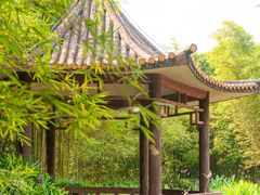 -大屏嶂森林公园