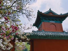 -北京艺术博物馆(万寿寺)