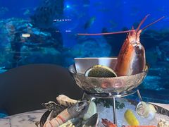-亚特兰蒂斯•OSSIANO奥西亚诺海底餐厅