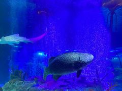 -沈阳海洋探索中心