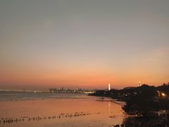 -深圳湾公园(南山区)