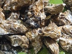 -集杰尚品海鲜烤肉自助餐厅(乳山振华店)