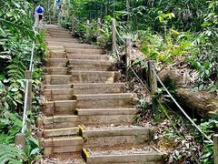 -武吉知马自然保护区