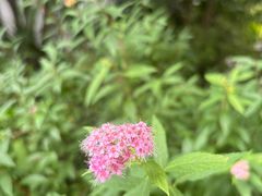 -南京市民俗博物馆(甘熙故居)