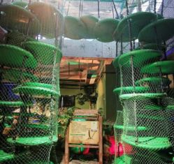 -恐龙探索乐园(磁器口店)