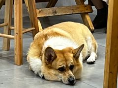 -阿木舂记·特色小吃(平江路店)